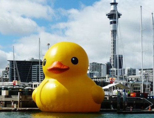 Art, the Rubber Duck and Love