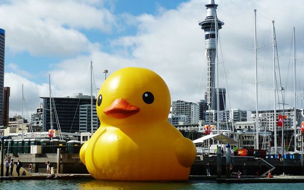 Rubber Duck in Auckland,2011